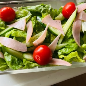 サニーレタスとトマトときゅうりの野菜サラダ